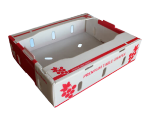 Corrugated Plastic Produce Box